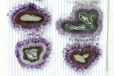 Lot: to Amethyst Stalactite Slices ( Pieces) #77705-2